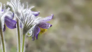 Cooling canceled — forecasters clarified the forecast for Astana and Almaty