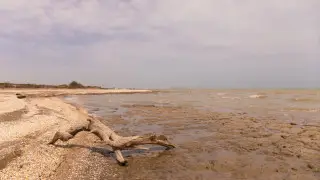 Scientist assesses the risk of the Caspian Sea disappearing