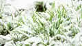 Sharp cooldown and snowfall are expected in Kazakhstan