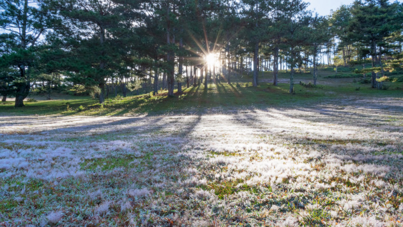 © Depositphotos.com