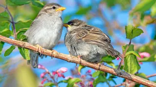 When will it get warmer in Astana and Almaty - forecasters’ outlook