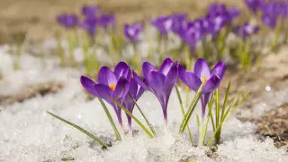 Kazakhstan breaks 109-year-old temperature record