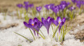 Kazakhstan breaks 109-year-old temperature record