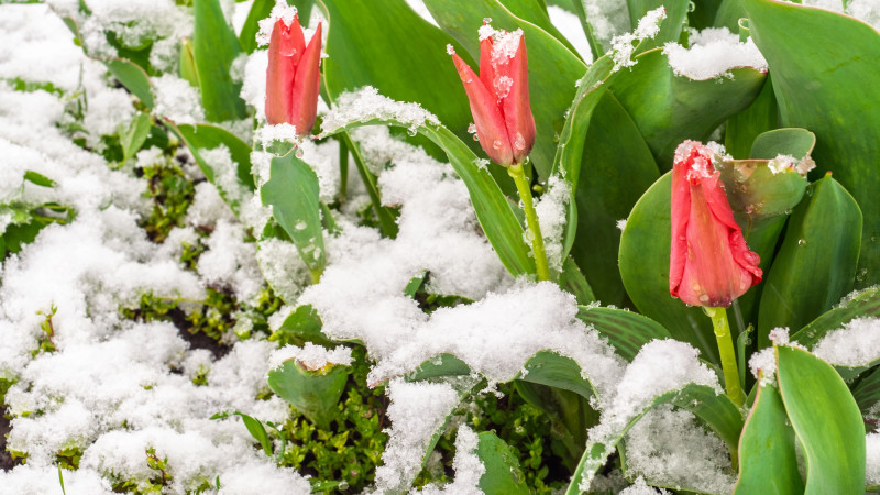 © Depositphotos.com