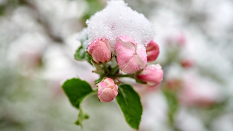 © Depositphotos.com