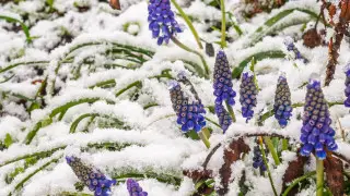 Cold snap to hit Kazakhstan with temperatures dropping to -18°C