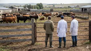 Veterinarian crime group dismantled in western Kazakhstan