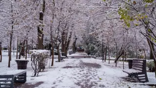 Cold snap, snow, squalls: what the weather will be like in Kazakhstan on April 17
