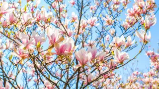 Frosts ease as Kazakhstan warms up to +28°C