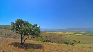 Heat up to 32 degrees is coming to Kazakhstan