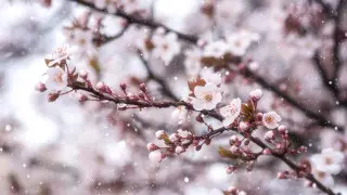 Snow and frost will return to Kazakhstan