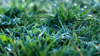 Rain and thunderstorms, frost in some areas: what the weather will be like in Kazakhstan on April 27