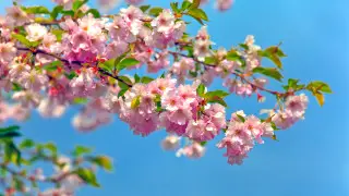 Rain canceled, but not everywhere – forecasters update weather for Astana and Almaty