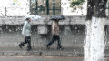 Rain, thunderstorms, frost, and fire danger: storm warning issued in 13 regions