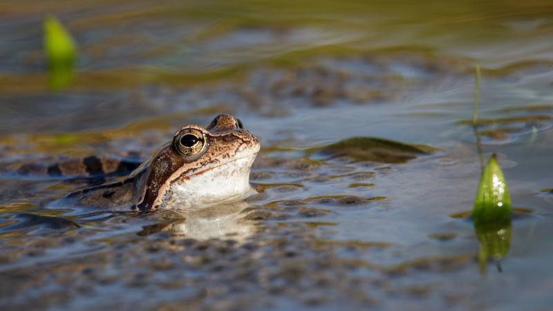 © Depositphotos.com