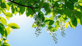 Rain and thunderstorms in north, up to 31°C in south: Kazakhstan weather forecast for May 5