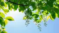 Rain and thunderstorms in north, up to 31°C in south: Kazakhstan weather forecast for May 5