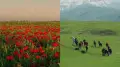 Kazakh man discovers “secret” spot with scenic fields