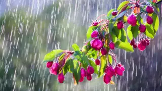 Heavy rain expected in Astana, Almaty to see 32°C heat – forecast for May 6–8