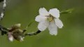 How weather will change in Astana and Almaty from May 13 to 15