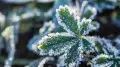 Contrasting weather to persist in Kazakhstan: forecast for Thursday, May 14