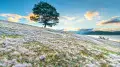 Snow and 35-degree heat will return to Kazakhstan