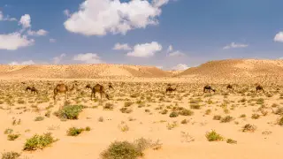 82-year-old temperature record broken in Kazakhstan