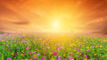Summer in Kazakhstan will begin with 40-degree heat