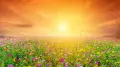 Summer in Kazakhstan will begin with 40-degree heat