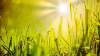 First day of summer to bring intense heat, rain and thunderstorms to Kazakhstan