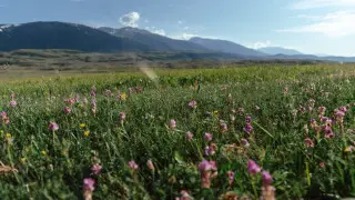 Heat up to +46 - what June 2026 will be like in Kazakhstan