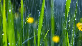 Meteorologists provide weather forecast for Astana and Almaty for June 3–5