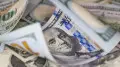 The National Bank explained why the dollar has started to appreciate and what to expect next