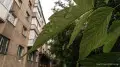 Heat, rain and thunderstorms: what the weather will be like in Kazakhstan on June 8