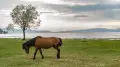 Thunderstorms, hail and 38-degree heat: Kazakhstan weather forecast for June 10