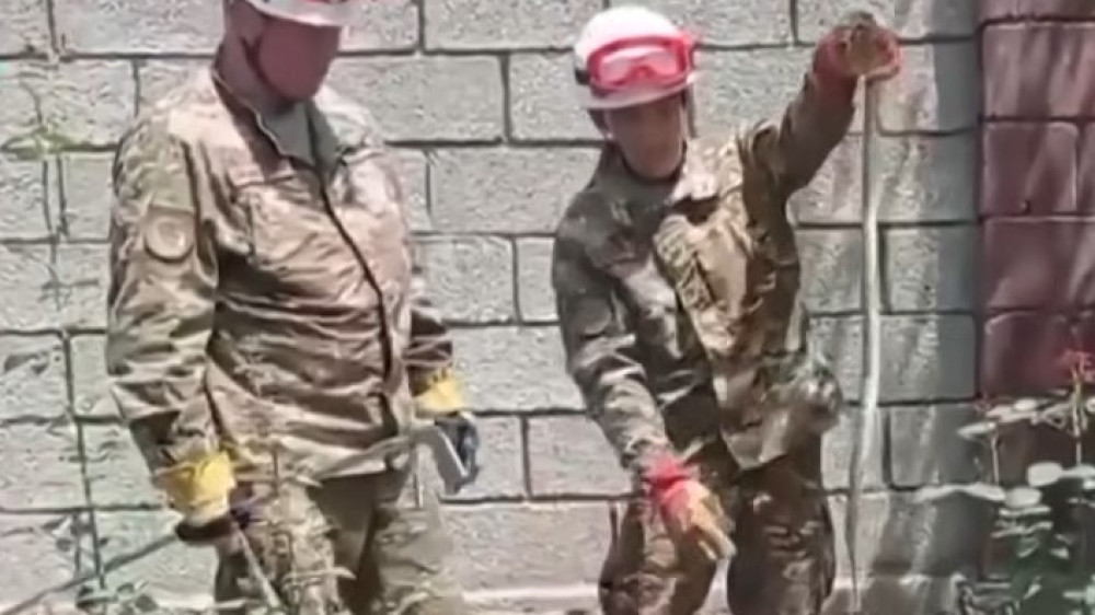 Shymkent faces invasion of snakes and scorpions