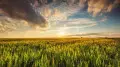 83-year temperature record broken: what May was like in Kazakhstan