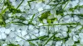 Hail and strong winds expected in Astana