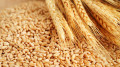 Kazakhstan reintroduces ban on wheat imports