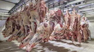 Kazakhstan plans to introduce quotas on meat exports