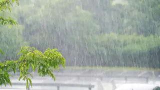 Heavy rains to hit Astana and Almaty - forecast for July 1-3