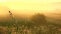 Rain, fog and heat: what the weather will be like in Kazakhstan on the first day of July