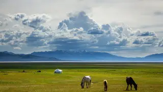 “Kazakhstan will refuse this”: expert on land exchange with Kyrgyzstan
