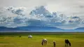 “Kazakhstan will refuse this”: expert on land exchange with Kyrgyzstan