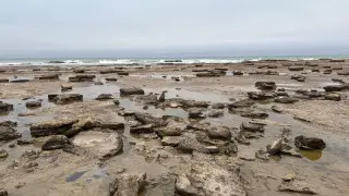 Caspian Sea shallowing called irreversible