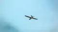 MFA responds to claims of drone launches from Kazakhstan's territory