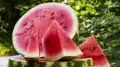 When it is safest to eat watermelons - the Ministry of Agriculture named exact dates