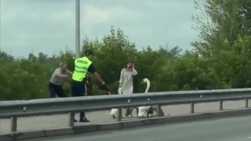 Frame from the video