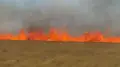 “Nothing to breathe in Stepnogorsk” – 10 wildfires occurred in the Akmola region in one day