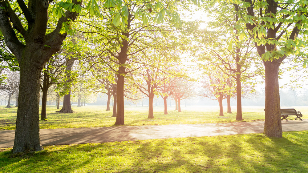 Kazakhstan Weather: Heatwaves and Thunderstorms Expected July 16